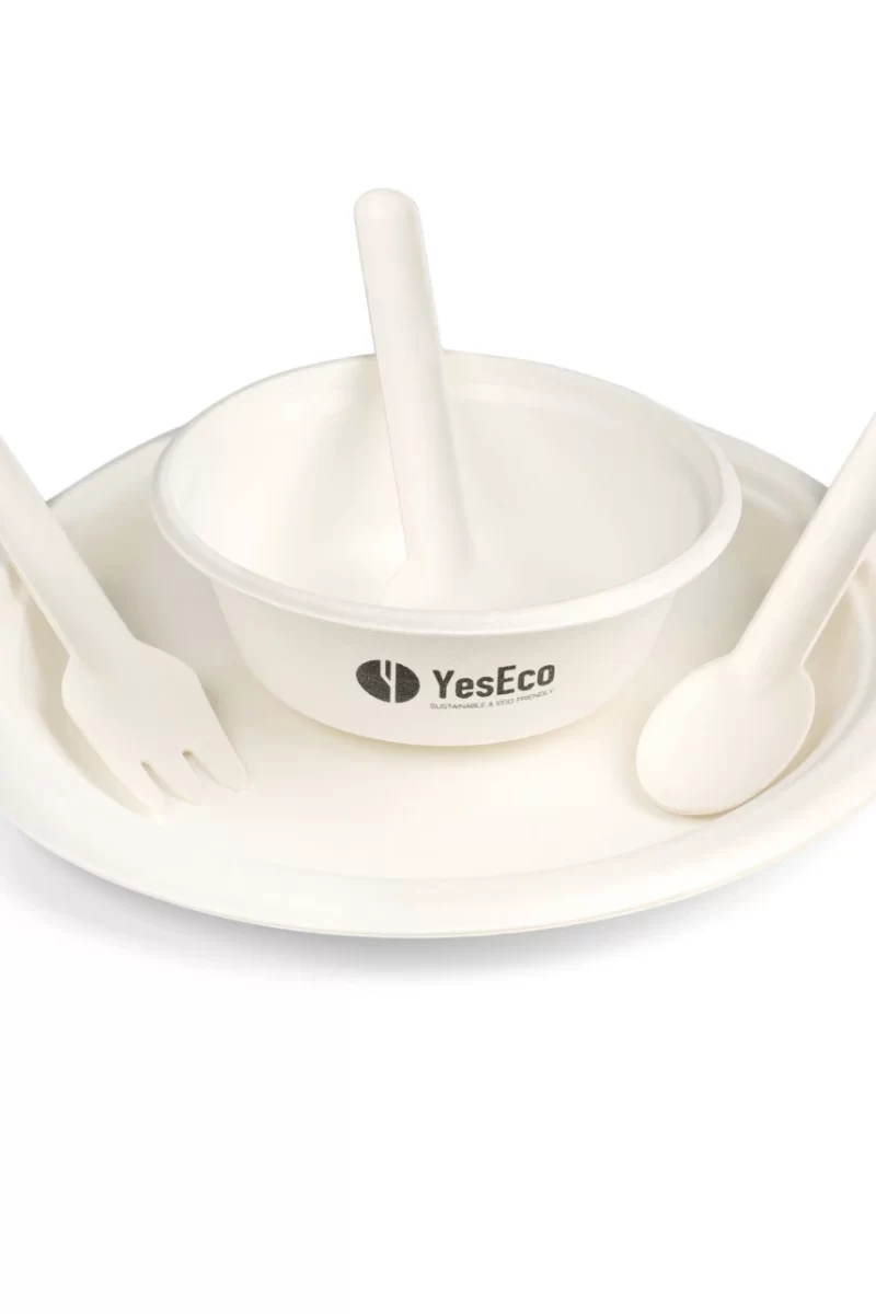 Sugarcane bagasse