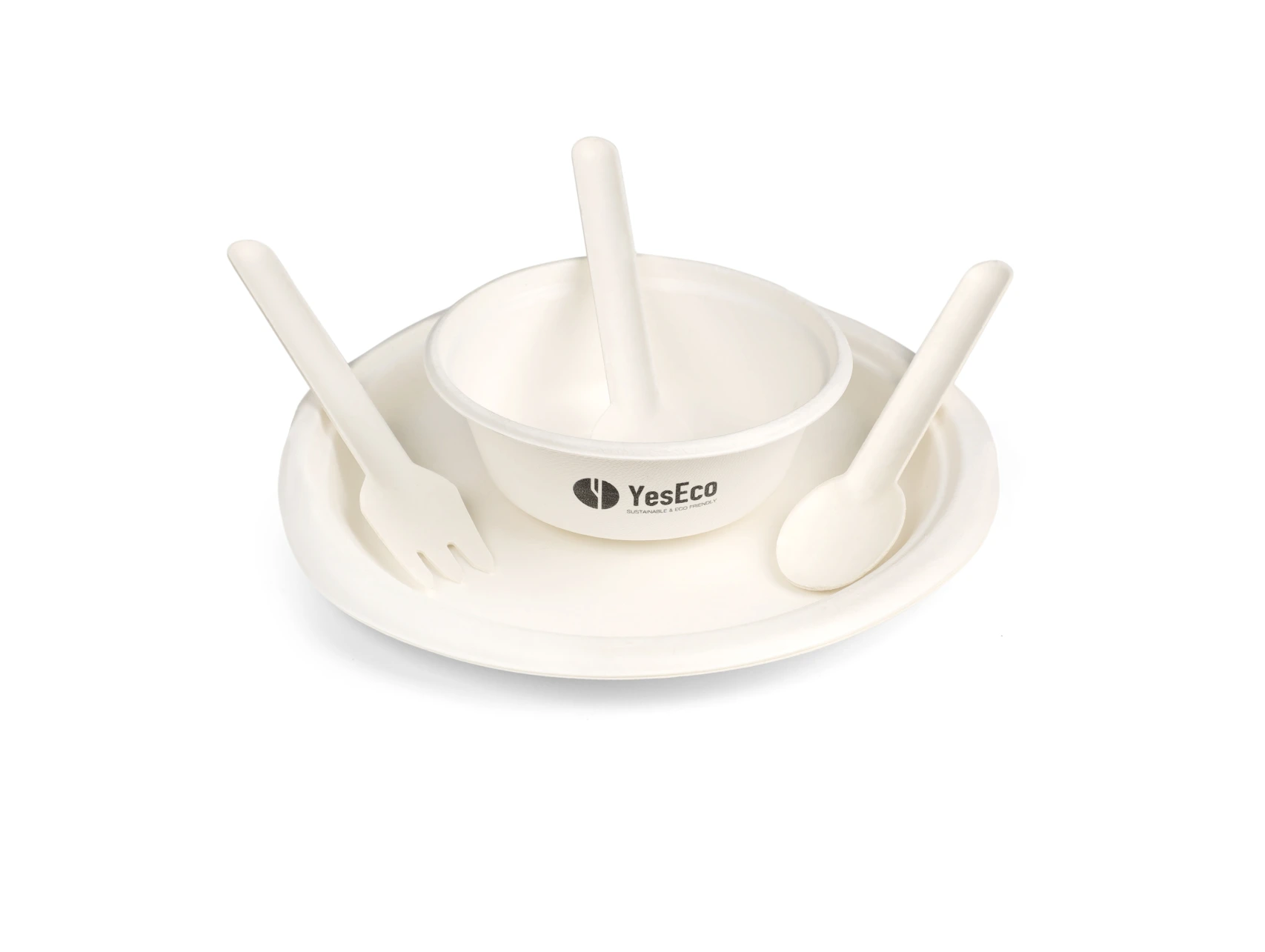 Sugarcane bagasse